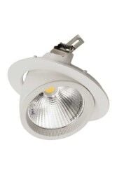 ACK AD36-00410 30W Beyaz Kasa Cob Salyangoz Led Spot Ilık Beyaz (4000K)