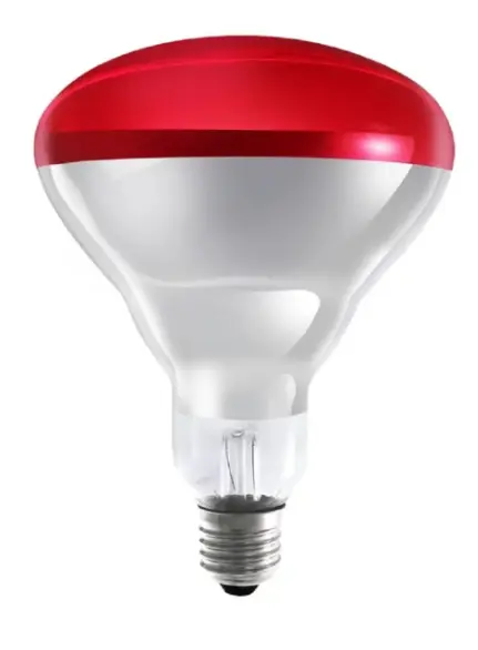 Osram Ledvance 250W Infrared Ampul E27 Isıtıcılı Kırmızı Işık