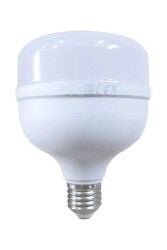 ACK AA13-02020 20W Torch Ampul Günışığı (3000K)