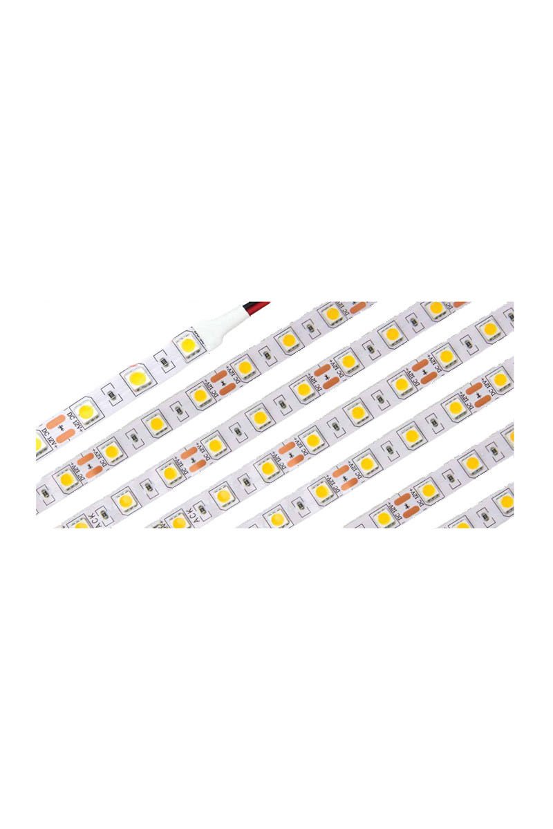ACK 12V İç Mekan 4040 Şerit Led Mavi
