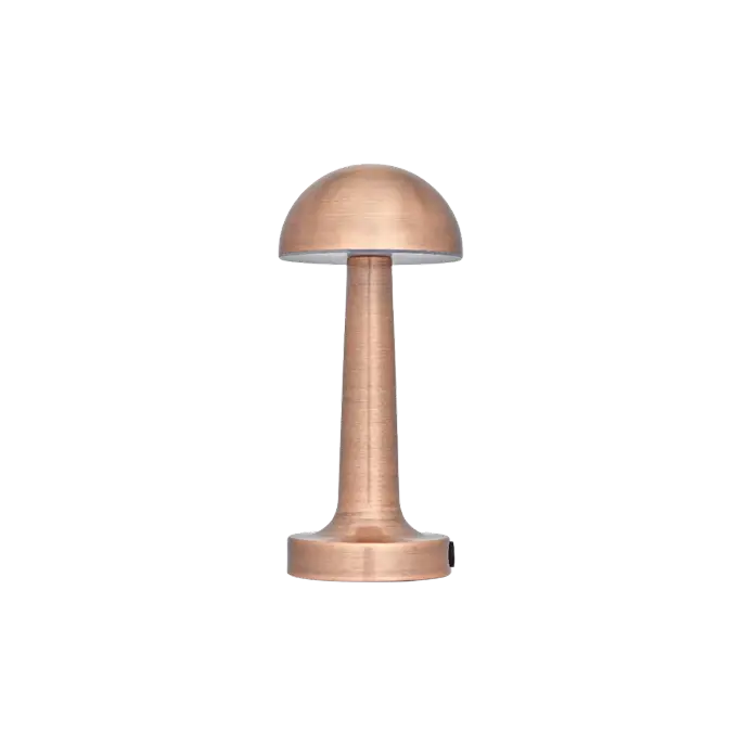 Cata Lizbon Şarjli Masa Lambasi CT-8430