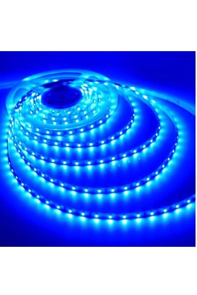 Noas 220V 4040 Hortum Led Mavi